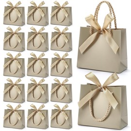 EQOREIIN 24 PCS Small Gift Bags with Handles,Champagne Mini Bag,5.5x 2.5x4.7 Inches Small Thank You Gift Bags Bulk with Ribbon for Party Favors,Mother's Day, Goodie, Weddings,Baby Shower(Champagne)