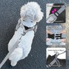 Feycig Dog Harness for Small Dogs, Anti-Pull Adjustable, Reflective Harness,