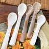 Pack of 2 Mother of Pearl MOP Caviar Spoons with