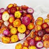Pack of 30-40 dried flower heads for wedding and autumn
