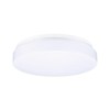Paulmann HomeSpa Axin 78898 Ceiling Light IP44 260 mm Max.