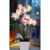 HOMESEASONS Orchid Lamp-LED Lighted Orchid Arrangements,Pre Lit Artificial Orchid,Light Up