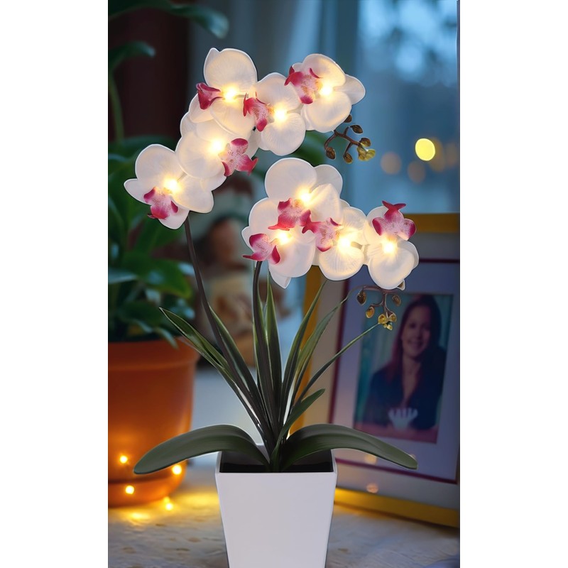 HOMESEASONS Orchid Lamp-LED Lighted Orchid Arrangements,Pre Lit Artificial Orchid,Light Up