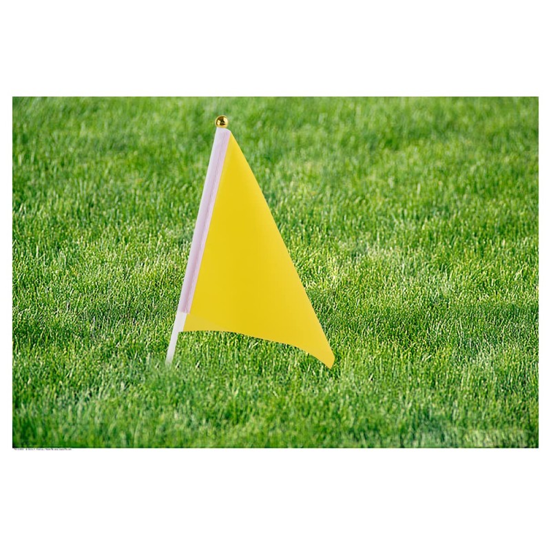 SCSpecial Small Flags 25 Pieces Mini Handheld Flags on Stick