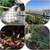 NONMON Bird Netting 5 x 100 ft Heavy Duty Garden