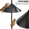 EVTSCAN Squirrel Flapper Prevents Stealing Squirrel Baffle for Bird Feeder