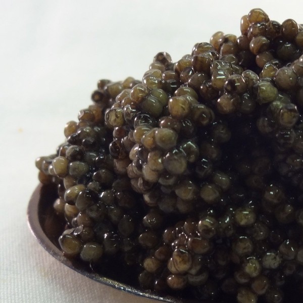 Russian Ossetra Crown Farmed Caviar, 2-Ounce Jar
