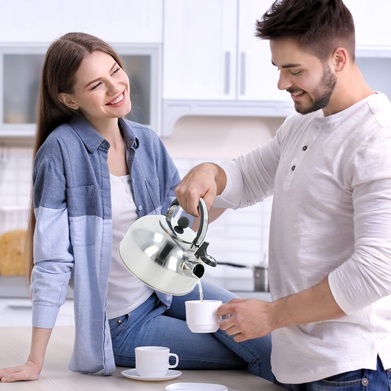 Krollmann 2.5 Litre Stainless Steel Whistling Kettle in Various Colours