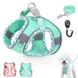 Dog Harness and Leash Set,Soft Mesh Breathable Dog Vest Harness with Training Clicker,Adjustable No Pull Reflective Pet Vest Harness with Safety Buckle for Small Medium Dogs, Cats, Puppies (Green, L)