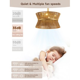 Boho Fandelier Ceiling Fan with Light and Remote Rattan Chandelier Fan Gold Caged Ceiling Fan with Light for Bedroom, Living Room Nursery Foyer Kitchen（6 Speed, Timing Adjustable Height）