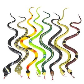 Rhode Island Novelty 14 Inch Rain Forest Snakes, Two Dozen Assorted