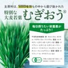 アサヒ緑健公式 緑効青汁×コラーゲン 60袋 （5ｇ×60袋入） 大麦若葉 乳酸菌 オリゴ糖 食物繊維 粉末