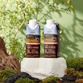 G Daily How more delicious vegetable protein mill cacao flavors 250ml 18 mouth / G 일일하우 더 맛있는 식물성 프로틴밀 카카오맛 250ml 18입