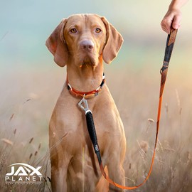 Soft Handle Dog Running Leash -NEOMAN Shock Absorbent Paracord Dog Leash Neoprene-Padded Handle Dog Poop Bag Holder Leash Attachment Heavy Duty Reflective Walking&Running Leash for Dogs Orange/Large