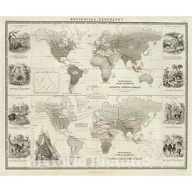 Historic Map : Physical Atlas Map, Rodentia, Ruminantia. 1856 - Vintage Wall Art - 44in x 37in