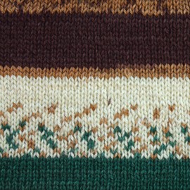 Patons Kroy Socks Yarn - (1) Gauge - 1.75 oz - Woodsie Woodsie - For Crochet, Knitting & Crafting