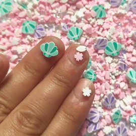 40g Fimo Polymer Shells Slices Art Design Charms Supplies Mix Slices Clay DIY Craft (Shell)