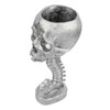 Skull Planter Spine Stand Set Innovative Exquisite Decorative Hand Painted