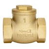 Eastman Brass Swing Check Valve, 1 Inch IPS, Brass Plumbing