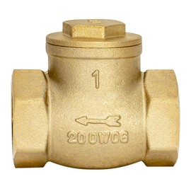 Eastman Brass Swing Check Valve, 1 Inch IPS, Brass Plumbing Fitting, 20425LF
