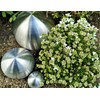 Jürgen Bocker Garden Ambiente Decorative Baubles Set of 3 Stainless