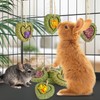 Sofier 16pcs Timothy Hay Treats Rabbit Toys Natural Treats for