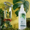 SS62 Foot Smell Tea Tree Leaf Power Foot Foot 200ml - ONECOLORFREE / 에스에스62발냄새 티트리잎 발전용 풋 풋 200ml - ONECOLORFREE