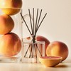 NEST New York Reed Diffuser Liquid Refill Bundle, Grapefruit -