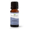 Plant Therapy Ravintsara Essential Oil 10 mL (1/3 oz) 100%