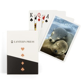 Lantern Press Monterey, California, Sea Lions Cuddle (52 Playing Cards, Poker Size Card Deck with Jokers)