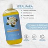 Shampoo De Manzanilla Con Propiedades Aclarantes Productos Mart Mexico 500