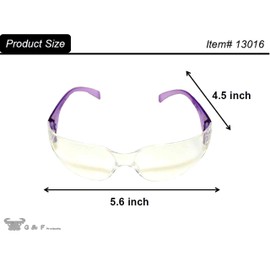 G & F Products - 13016-NEW 13016NEW Safety Goggles with 99% Protection Against UV-A, B & C Rays, Impact, & Ballistic Resistant & Clear Lenses 12 Count (Pack of 1) unisex