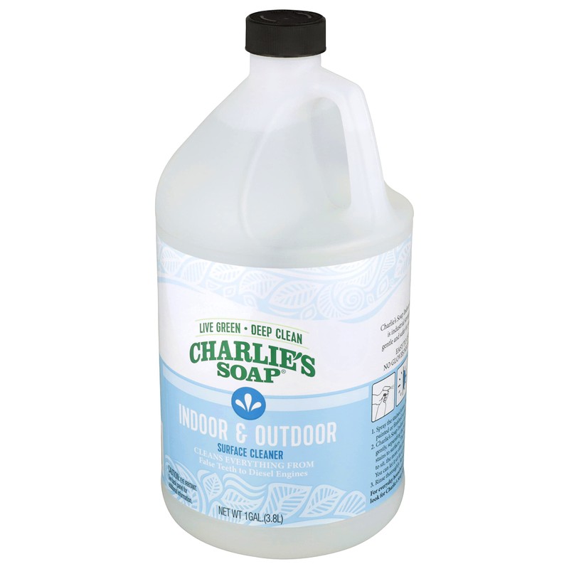 Charlie's Soap Indoor-Outdoor Surface Cleaner with Pump (1 Gallon, 1