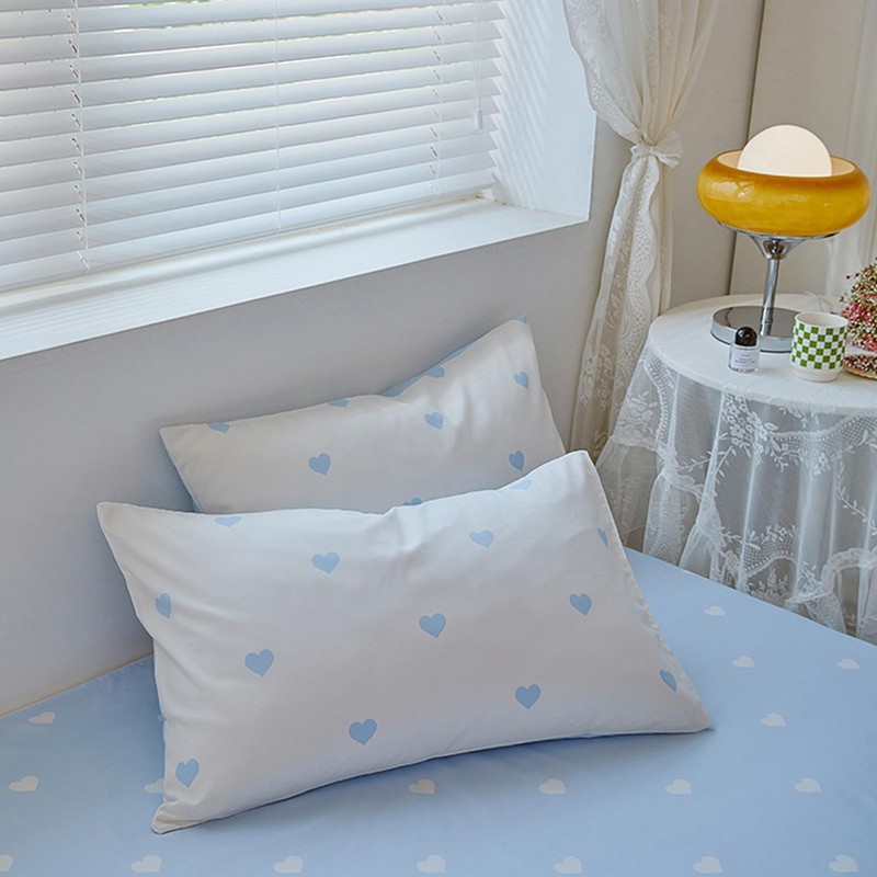Blue White Duvet Cover Set Queen Size with Cute Blue