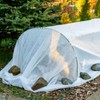 Liengoron 2PCS 10 Ft x 50 Ft Plant Covers Freeze