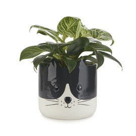 balvi Kitty Flower Pot Colour Black and White Original Flower Pot in the Shape of a Kitten Ceramic 13.7 cm