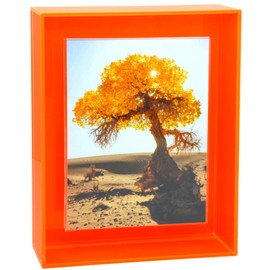 HappyDino 4x6 Acrylic Neon Floating Picture Frame Wall Desk Bright Full Colored Decorative Photo Frame for Wall Mounting Tabletop Gallery Display, Neon Orange