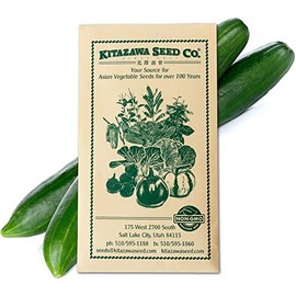 Cucumber Seeds - Palace King - Hybrid -500 Mg Packet ~20 Seeds - Non-GMO, F1 Hybrid - Asian Garden Vegetable