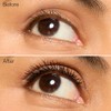 Extreme Volume Mascara Plus Bold Lash Primer by Honest for