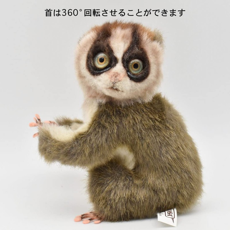 BH7043 HANSA Slow Lolis 17