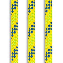Arborist Tree Climbing Rope | 32 Strand 1/2 inch (12.4 mm) | AllGear SRT Line | Blue Tower Line, 100 feet