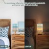 Mnsruu Small Table Lamp for Bedroom Seashells on Tropical Beach