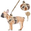 PUPTECK Soft Mesh Small Dog Harness with Leash - Basic