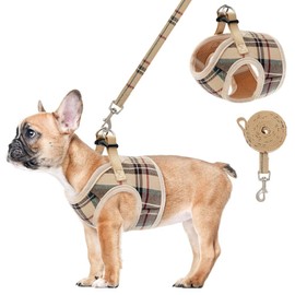 PUPTECK Soft Mesh Small Dog Harness with Leash - Basic Plaid Padded Step-in Chest Vest for Kitties, Puppy, Small Pets