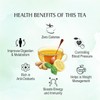 APSARA Lemon Mint Ginger Green Tea Bags 100 pcs Herbal