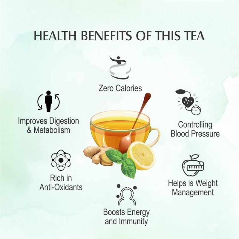 APSARA Lemon Mint Ginger Green Tea Bags 100 pcs Herbal