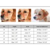 Bozal De Canasta Para Perro Grande Seguridad Alta Calidad