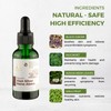 ABERA Alan Silver Nano Serum - 30ml - Specification: 1