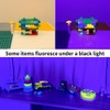 Black Light Rechargeable Battery Operated - Small Portable Black Light
