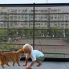 Balcony Safety Net for Kid Banister Guard-18ft X 2.6ft Thick